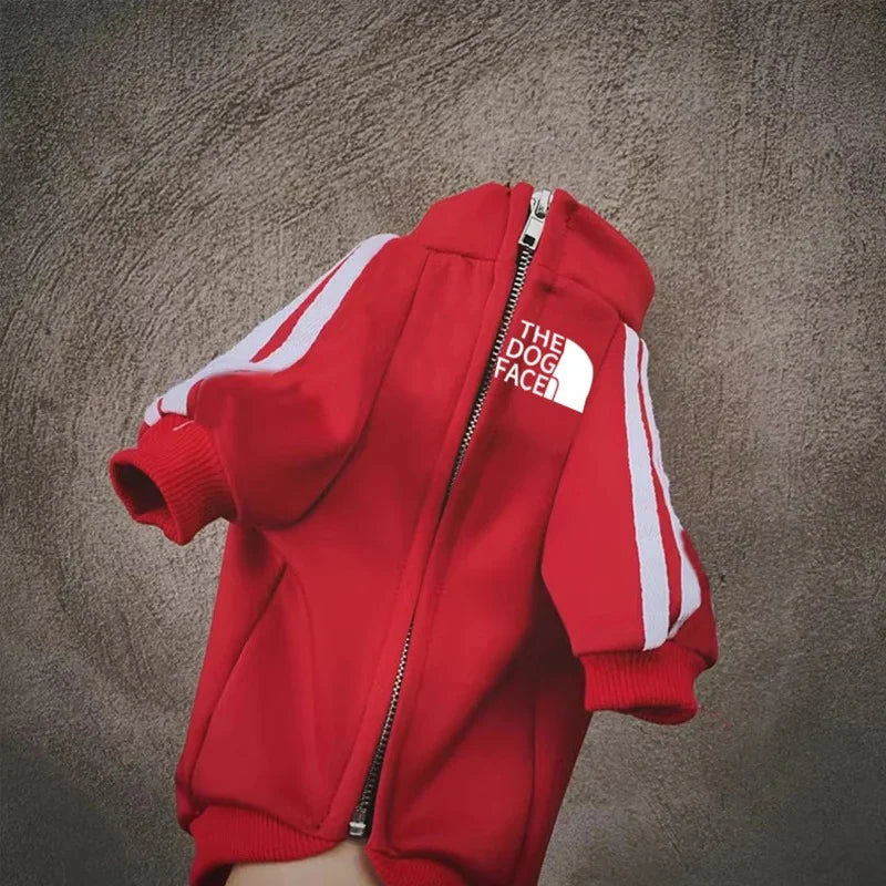 Cool Dog Hoodies: Cozy & Trendy Canine Attire